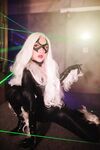 Nonsummerjack Chatter Kitten Photos