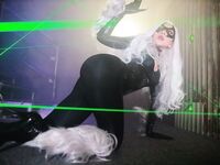Nonsummerjack Chatter Kitten Photos