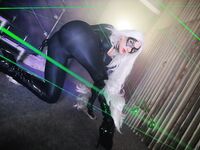 Nonsummerjack Chatter Kitten Photos
