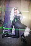 Nonsummerjack Chatter Kitten Photos