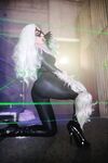 Nonsummerjack Chatter Kitten Photos