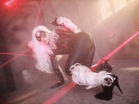 Nonsummerjack Chatter Kitten Photos