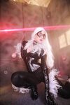 Nonsummerjack Chatter Kitten Photos