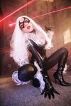 Nonsummerjack Chatter Kitten Photos