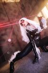 Nonsummerjack Chatter Kitten Photos