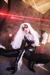 Nonsummerjack Chatter Kitten Photos