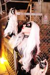 Nonsummerjack Chatter Kitten Photos
