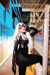 Nonsummerjack Chatter Kitten Photos