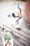 Nonsummerjack Hunter+U Photos