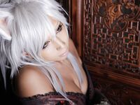 Nonsummerjack Mugen Houei Photos