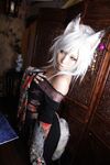 Nonsummerjack Mugen Houei Photos