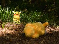 Nonsummerjack POKENON! Photos