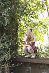 Nonsummerjack Queen Leo Photos