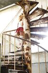 Nonsummerjack Queen Leo Photos