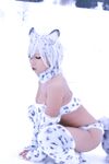 Nonsummerjack Snow Leopard Photos