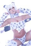Nonsummerjack Snow Leopard Photos