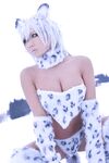 Nonsummerjack Snow Leopard Photos