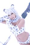Nonsummerjack Snow Leopard Photos