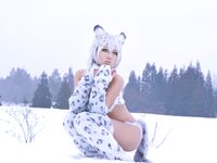 Nonsummerjack Snow Leopard Photos