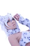 Nonsummerjack Snow Leopard Photos