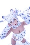 Nonsummerjack Snow Leopard Photos