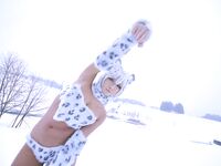 Nonsummerjack Snow Leopard Photos
