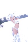Nonsummerjack Snow Leopard Photos