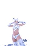 Nonsummerjack Snow Leopard Photos