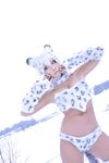 Nonsummerjack Snow Leopard Photos