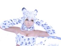 Nonsummerjack Snow Leopard Photos