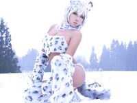 Nonsummerjack Snow Leopard Photos