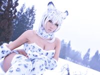 Nonsummerjack Snow Leopard Photos