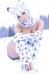 Nonsummerjack Snow Leopard Photos