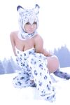 Nonsummerjack Snow Leopard Photos