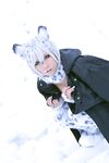 Nonsummerjack Snow Leopard Photos