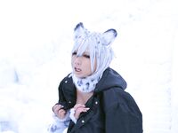 Nonsummerjack Snow Leopard Photos