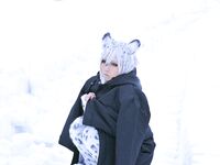 Nonsummerjack Snow Leopard Photos