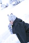 Nonsummerjack Snow Leopard Photos