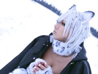 Nonsummerjack Snow Leopard Photos