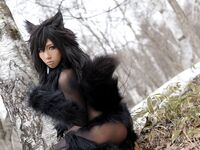 Nonsummerjack Timber wolf Photos