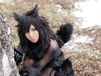 Nonsummerjack Timber wolf Photos