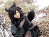 Nonsummerjack Timber wolf Photos