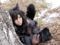 Nonsummerjack Timber wolf Photos