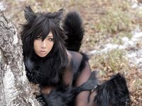 Nonsummerjack Timber wolf Photos