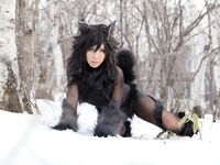 Nonsummerjack Timber wolf Photos