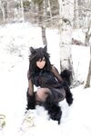 Nonsummerjack Timber wolf Photos