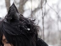 Nonsummerjack Timber wolf Photos