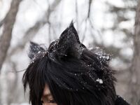 Nonsummerjack Timber wolf Photos