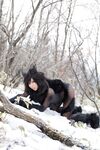 Nonsummerjack Timber wolf Photos