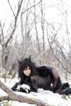 Nonsummerjack Timber wolf Photos